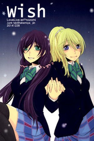Wish (NozoEli)